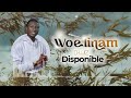 d wiz woelinam audio