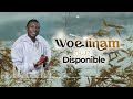 d wiz woelinam audio