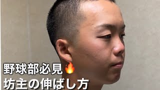 坊主からの伸ばし方