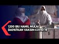 1200 Ibu Hamil Mulai Dapatkan Vaksin Covid 19