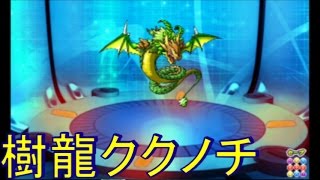 【パズドラ】ついに！樹龍・ククノチが進化する！！