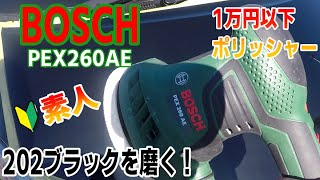 ボッシュのポリッシャーPEX260AEを使った素人のボンネットを磨き