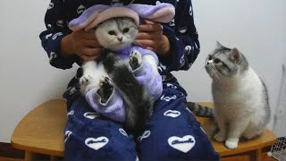 When cat wearing clothes, she can't even walk