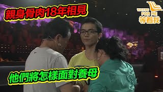 尋找在夢里中的人 幼時因為一輛玩具車被拐 18年來一直飽受煎熬《等着我》