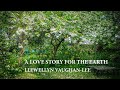 A Love Story for the Earth