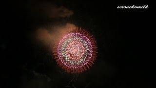 2014年 赤川花火大会 全国デザイン花火競技会 10号割物花火の部