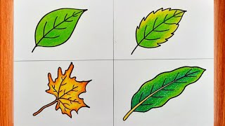 Leaf Drawing || Different Types Of Leaves Drawing || Leaf Drawing And Colour Step By Step.