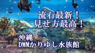 沖縄　DMMかりゆし水族館の　流石最新！　#かりゆし水族館　#沖縄　#DMM　#なまけもの　#かわうそ　#珊瑚　#水族館　#クラゲ