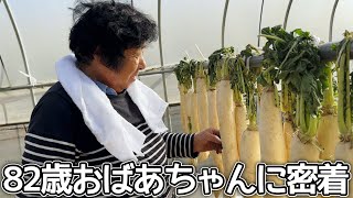 【密着】田舎暮らし82歳おばあちゃんの農作業に同行したら大変だった！