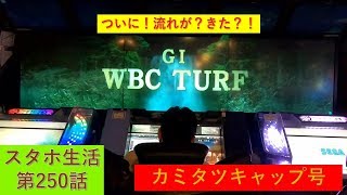 ついに！流れが？きた？！　スタホ生活第250話　【神龍のスタホ3実況】