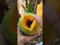 juicy papaya cutting😍 shorts satisfying