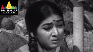 Jeevitha Chakram Telugu Movie Part 2/15 | NTR, Vanisri, Sharada | Sri Balaji Video