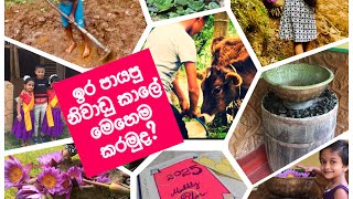 #vlog 10:මේ නිවාඩු කාලේ පොඩි පැටවු එක්ක monthly plan හදමුද#dailyvlog#villagelife #monthlyplanning