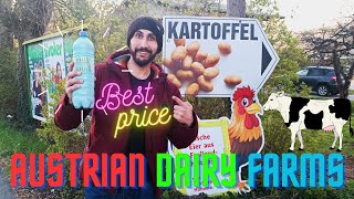 Visiting The Austrian Dairy Farms || Purchasing Cheapest Milk