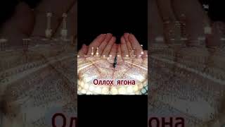 кечир Оллохим каналга обуна булинг 😊 👍 босинг #shortvideo #vedioviralkiasekare #