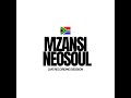 Mzansi Neosoul Vol 3 ft Lowfeye, Blue Pappi, SJAVA & The Qwellers