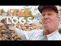 How to get free logs for your firewood business!