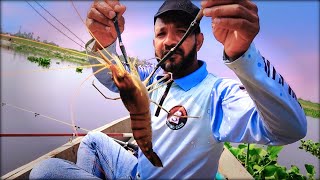 Amazing Big Shrimp Fishing From Dhaleswari River | ধলেশ্বরী নদী থেকে চিংড়ি কালবাউস মাছ ধরা