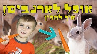 איך להכין אוכל לארנבים בחינם!