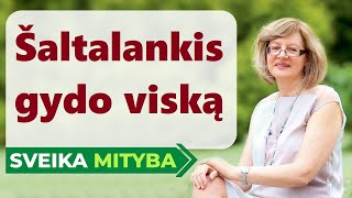 Mitybos formulė | Šaltalankiai gydo viską