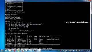 Structured Query Language Tutorial SQL Part 32 AUTO INCREMENT Command Prompt CMD