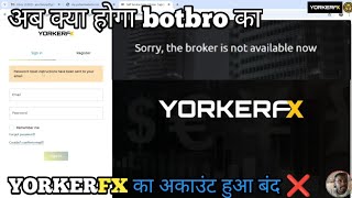 YORKERFX का अकाउंट हुआ बंद | अब क्या होगा botbro का | #botbro #tlc #yorkerfx #update