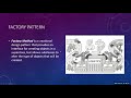 Factory Pattern using Python | Design Pattern using Python | learnbay.co.in