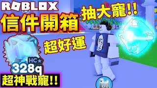 獲得超高戰寵328Q!!信件開箱!!送大寵!!【Pet Simulator X】【寵物模擬器X】【老頭】【ROBLOX】CC全字幕