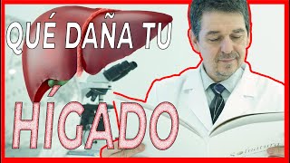 ¿Qué Alimentos DAÑAN el HÍGADO?
