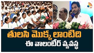 తులసి మొక్క లాంటిది ఈ వాలంటీర్ వ్యవస్థ | CM Jagan Speech At  Felicitation of Volunteers | 10TV