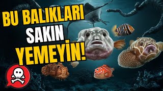 Yenmesi Tehlikeli 8 Zehirli Balık! - Hayatınızı Riske Atmayın!