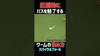 【絶対釣れる】何この動き？見た事ある？スタッガーワイド4インチの魅惑のフォール技術