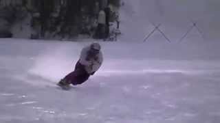 Telemark  (Free,Curving,Racing,Short turn,Bumps)　2012－2013