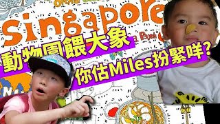 [ Travel Vlog 星加坡 Day2 ] 動物園餵大象 | 你估下Miles扮緊咩?