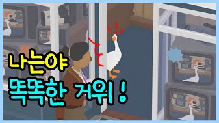 [24.11.23] 거위가 되어 말썽을 부려보자!