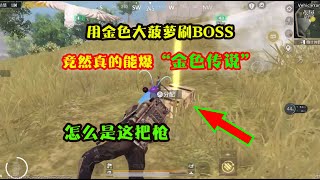 挑战用金色大菠萝刷BOSS，竟然真能爆“金色传说”？怎么是这把枪！