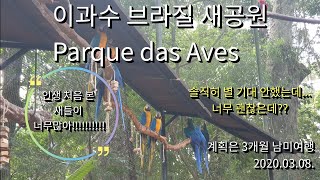 브라질 새공원! Parque de avas, Park of birds, 남미여행 이과수편