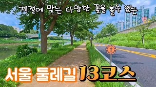 새로워진 서울둘레길 2.0 / 한여름에는 걷지 마세요 / 13코스 8.0km 걸어보기 / 석수역에서 구일역까지 / 안양천 상류코스