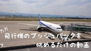 ただ飛行機のプッシュバックを眺めるだけの動画