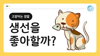 고양이는 정말 생선을 좋아할까?