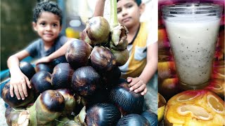 How to Cut Palmyra Fruit \u0026 Palm Juice | நுங்கு வெட்டும் சரியான முறை \u0026 நுங்கு ஜூஸ் | Ice Apple juice