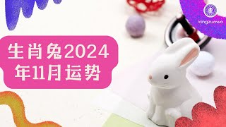 2024年11月属兔人运势 属兔2024年11月运程#生肖兔 #2024年运势 #11月运势 #属兔运势