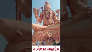 નાગેશ્વર મહાદેવ દર્શન Nageshwar Mahadev#sunilblog#sorts