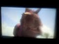 Disney Dinosaur Carnotaurus Attack Scene