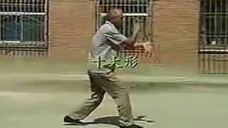 王映海师父戴氏心意拳全教学 Wangyinghai Shifu Dai Shi Xinyi Quan Quan Jiaoxue