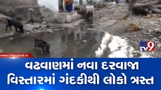 Surendranagar: Residents of Wadhwan face trouble due to overflowing gutter | TV9News