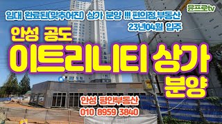 안성공도 이트리니티센트럴파크 단지내상가 분양-임대 맞추어진 2개호실(편의점,부동산) 한