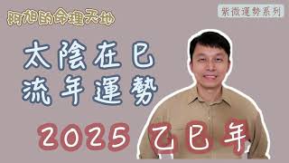 【紫微斗數】太陰在巳 流年運勢｜2025 乙巳年