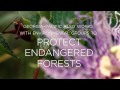 Georgia-Pacific and Sustainable Forestry: From the Forest through the Product Lifecycle (Full)