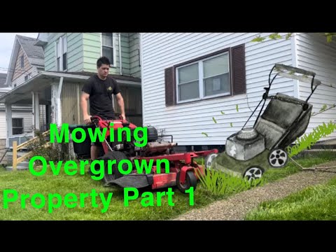 Mowing Overgrown Property Part 1 Youtube